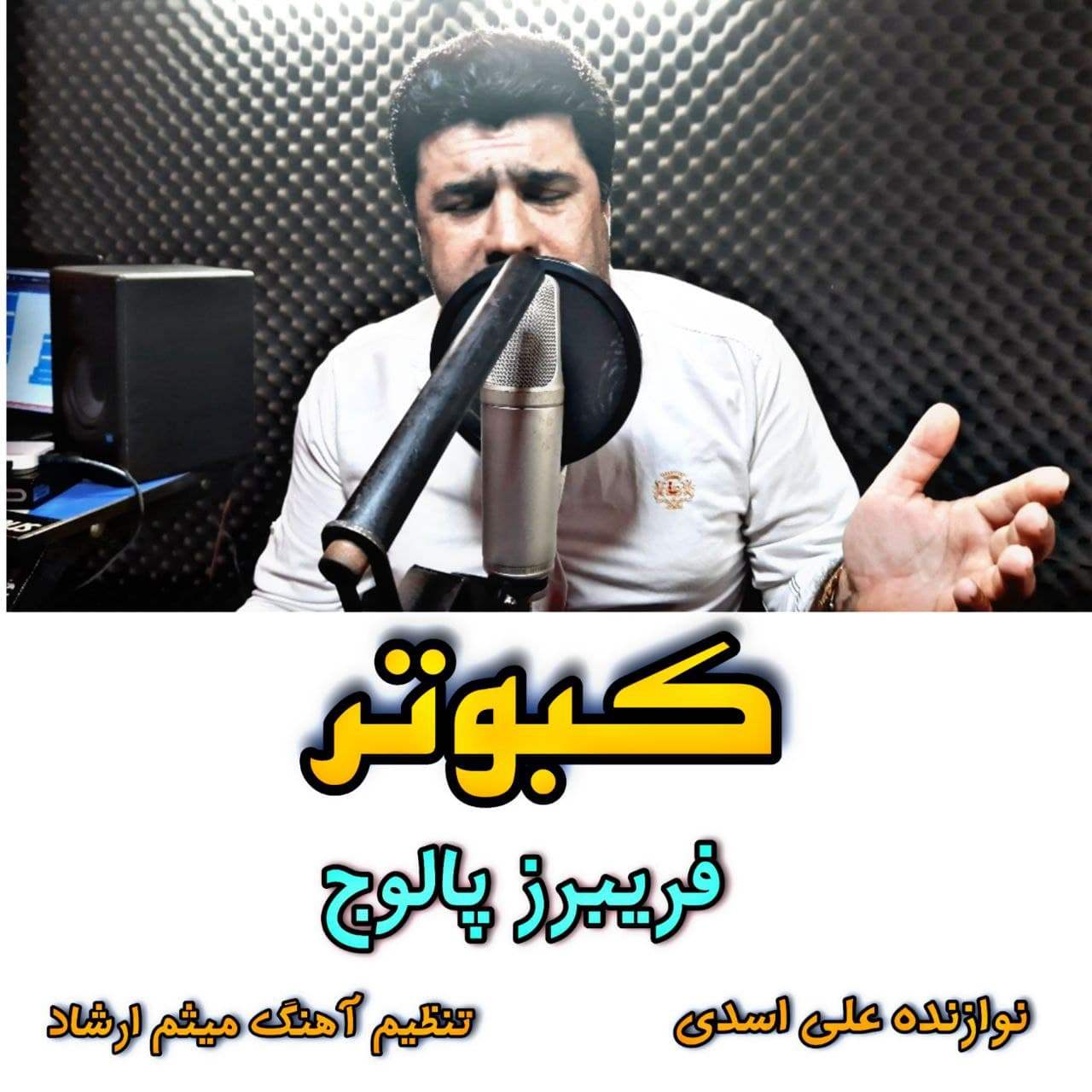 دانلود آهنگ کبوتر فریبرز پالوج